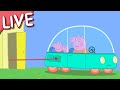 Peppa Pig Full Episodes 🔴 LIVE! Full Episodes STREAMING NOW 🎭 Kids Videos 💕