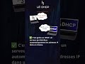 🔎Qu'est-ce que le DHCP ?