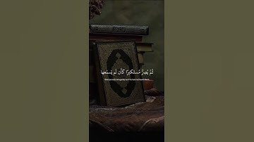 اكتب شيء تؤجر عليه 😴💚 / القارئ ياسر الدوسري | قران كريم