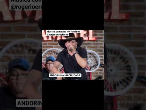 ANDORINHA MACHUCADA -