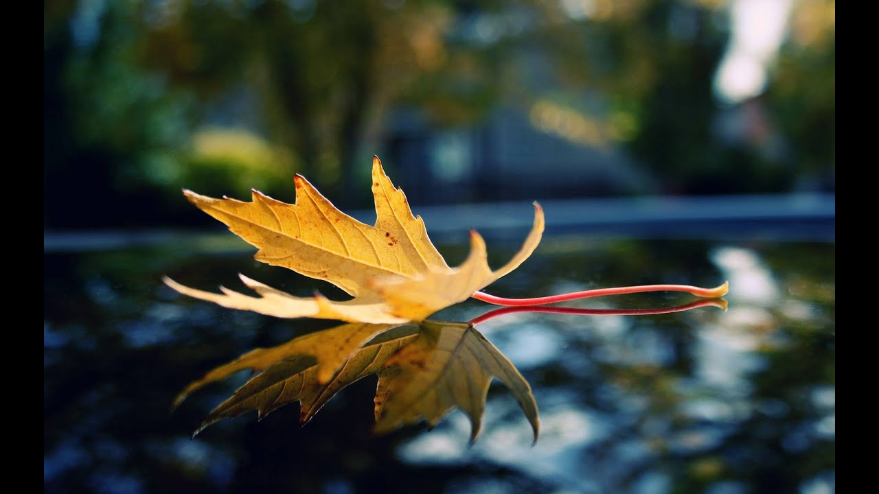 10 Under Rated Winter Fragrances (Hidden Gems)