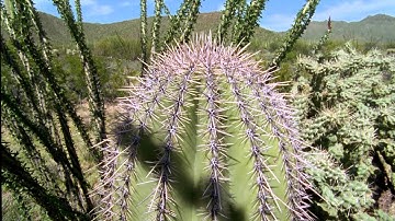 The Proofs of Creation - 14: The Proof of Balance