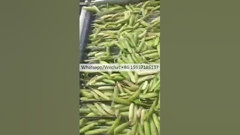shelling peas sheller pea peeler beans peeling machine edamame soybeans shell removing machine