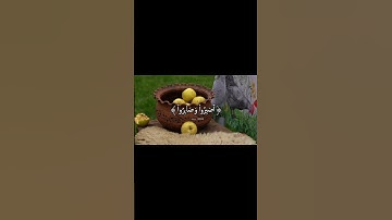 طمأنينة ⺌. #قرآن_كريم #سورة_آل_عمران #القارئ_محمد_صديق_المنشاوي #اترك_اثرا_طيبا_بذكر_الله