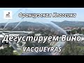 Вина из Долина Роны | Дегустация классического французского красного вина Вакейрас Vacqueyras