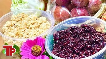 Người dân lo ăn rượu nếp dịp Tết Đoan Ngọ 