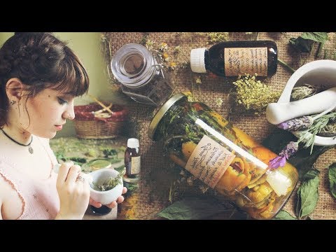 Vídeo: Violeta Perfumada - Cultivo E Uso Medicinal