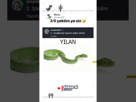 Hayvanı doğru tahmin et 🤝😅 #trend #keşfet #mizah #komikvideolar