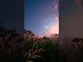 [FREE] young thug x gunna type beat - "slizzered"