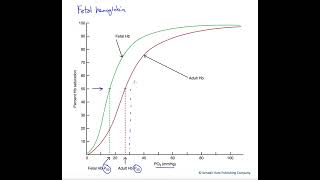 Fetal hemoglobin