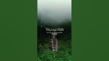 القرآن الكريم - راحة نفسية #اكسبلور #المصحف #الرحمن #لايك #راحة_نفسية #العظماء #الظروف #دويتو