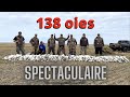 Chasse  loie blanche  2e partie  snow goose hunting