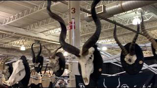 2026 Oddities Curiosities in Columbus