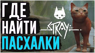 Stray | Пасхалки | Где найти пасхалки | Half-Life, Назад в Будущее , Skyrim screenshot 5