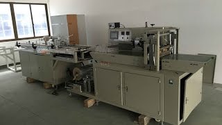 Automatic Plastic Cup Counting And Packing Machine -Double Lines