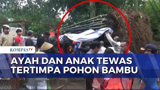 Hujan Deras dan Angin Kencang di Jember, Ayah dan Anak Tewas Tertimpa Pohon Bambu | INDO UPDATE
