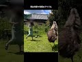 君は完璧で究極のアイドル
