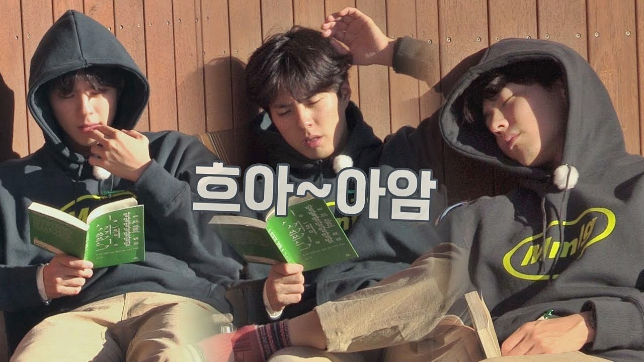 '독서 명당'에 자리 잡은 박보검… 하품과 함께 꿈나라로zZ 효리네 민박2 8회