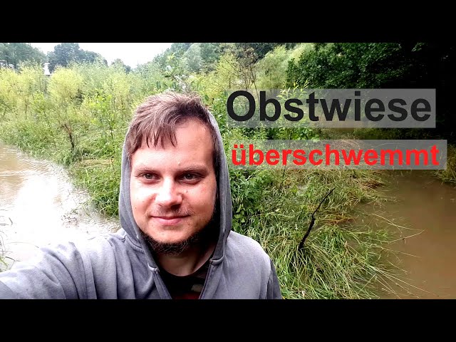 Vlog Streuobstwiese - Überschwemmung 2021