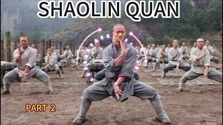 #2 , Kung fu workout at home ; Shaolin 5 movements changquan workout that make can protect you