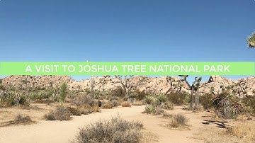 A VISIT TO JOSHUA TREE NATIONAL PARK