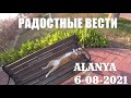 ALANYA 6 АВГУСТА РАДОСТНЫЕ ВЕСТИ ТУРЦИЯ АЛАНЬЯ СЕГОДНЯ