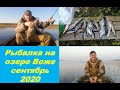 Рыбалка на озере Воже Cентябрь 2020. Шикарная осенняя природа))) Вкусный жареный судак!!!)))