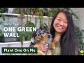 The ONE GREEN WALL Apartment Houseplant Home Tour — Ep. 244