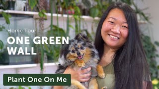 The ONE GREEN WALL Apartment Houseplant Home Tour — Ep. 244