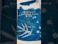 Cyanotype on kimono silk | Day 7/14
