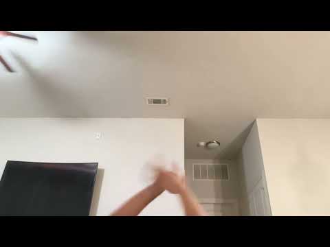 Hands (I am  a small content creator)