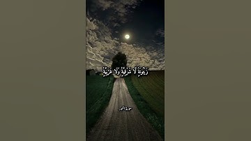 ﴿ ٱللَّهُ نُورُ ٱلسَّمَـٰوَٰتِ وَٱلْأَرْضِ ﴾ تلاوة رائعة لفضيلة أ.د ياسر الدوسري 🤎😍