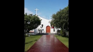 Evangelio y Homilía Semana XV Tiempo Ordinario Misa Domingo 10.07.22