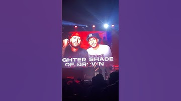 Thumbnail of Lighter Shade of Brown On a Sunday Afternoon Live in San Diego
