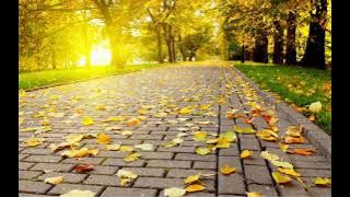 John Dreamer Rise Extended Music