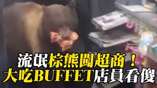 流氓棕熊闖超商當牠家！大吃BUFFET店員看傻 @東森新聞 CH51