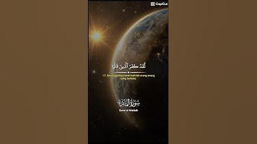#سورة_المائدة #قرآن #quran #تلاوات #تلاوه #تلاوة_خاشعة #اكسبلور #تلاوتقران #راحة_نفسية