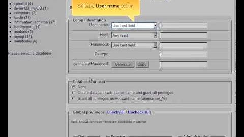 phpmyadmin Managing Users and Privileges 4 phpmyadmin أدارة المستخدمين  الصلاحيات في بي اتش بي  أدمن