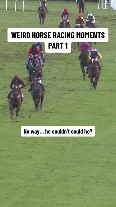 What happens next?! Unbelievable race finish when horse gives up! #horseracing #animalshorts