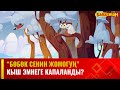 Кыш эмнеге капаланды? | БӨБӨК СЕНИН ЖОМОГУҢ | 31.01.2024