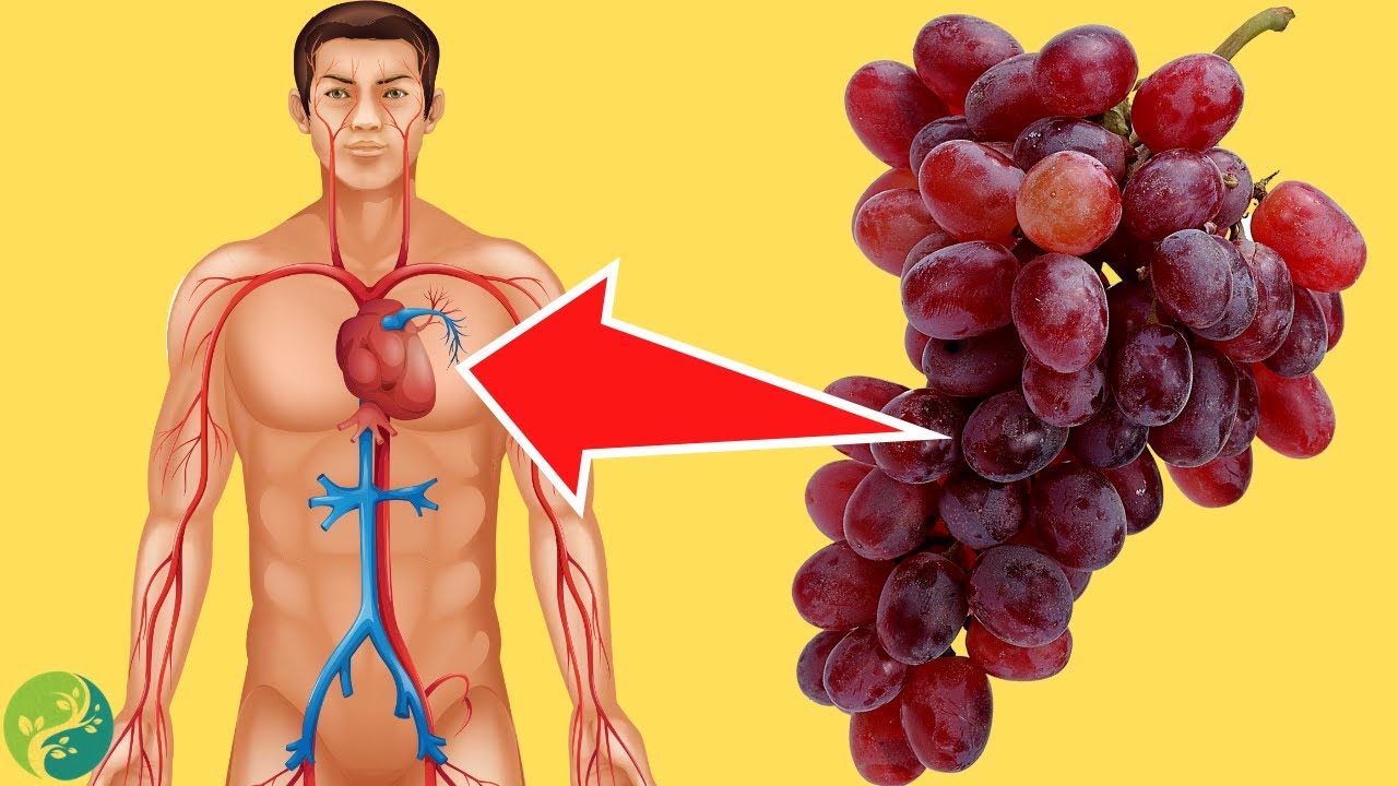 What Happens To Your Body If You Eat Grapes Everyday - YouTube