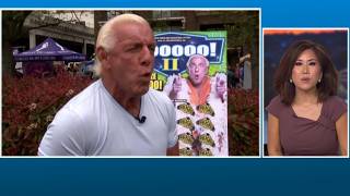 Ric Flair suffers head injury after fall in Tampa