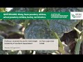 Afren fungicide resistance update webinar  queensland