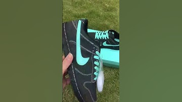 Tiffany & Co. SB Dunk