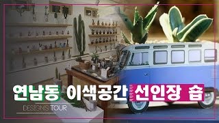 국내 최초! 연남동에 위치한 커스텀 선인장 숍 [디자인스 투어] 8회