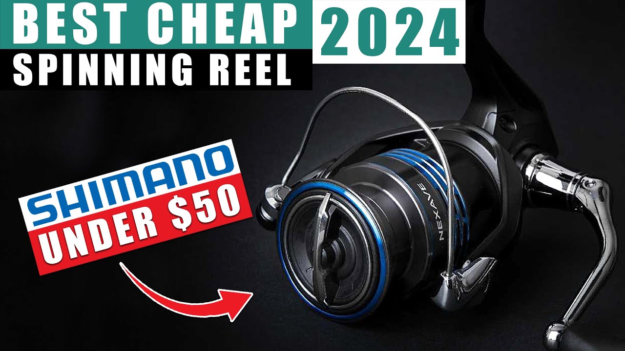 5 Best Cheap SHIMANO SPINNING REELS under $50 2024 (reviewed) - YouTube