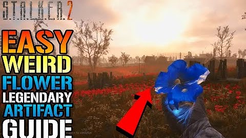 Stalker 2: "Weird Flower" Legendary Artifact Guide! How To Get This The EASY Way TODAY (Guide)