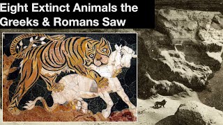 Eight Extinct Animals the Greeks & Romans Saw by The Historian's Craft 505,514 views 6 months ago 18 minutes