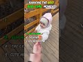 Ranking the Funniest Baby Core Moments | #babycore   #funnybabies   #cutebabies