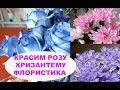 Красим Розы в Синий Цвет Хризантемы в Розовый /Флористика для начинающих